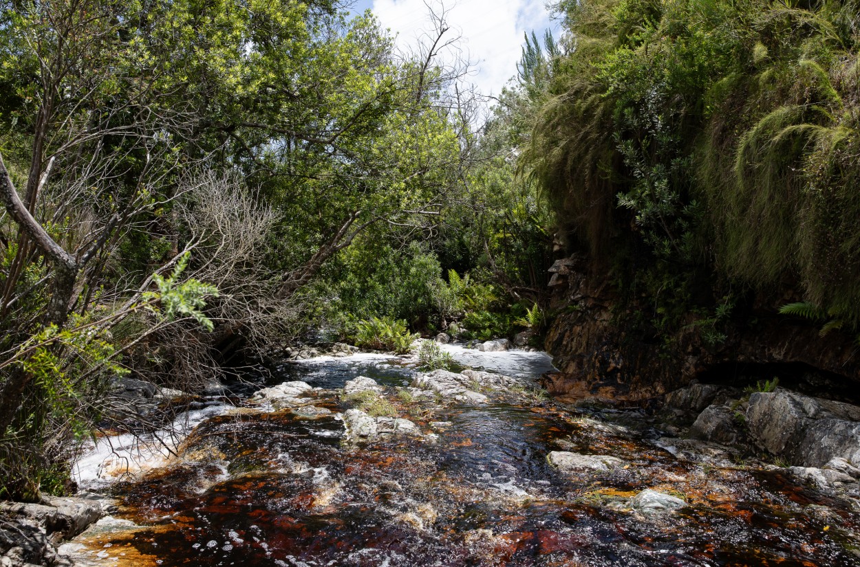 Highlands Lodge Activities - Natural Springs